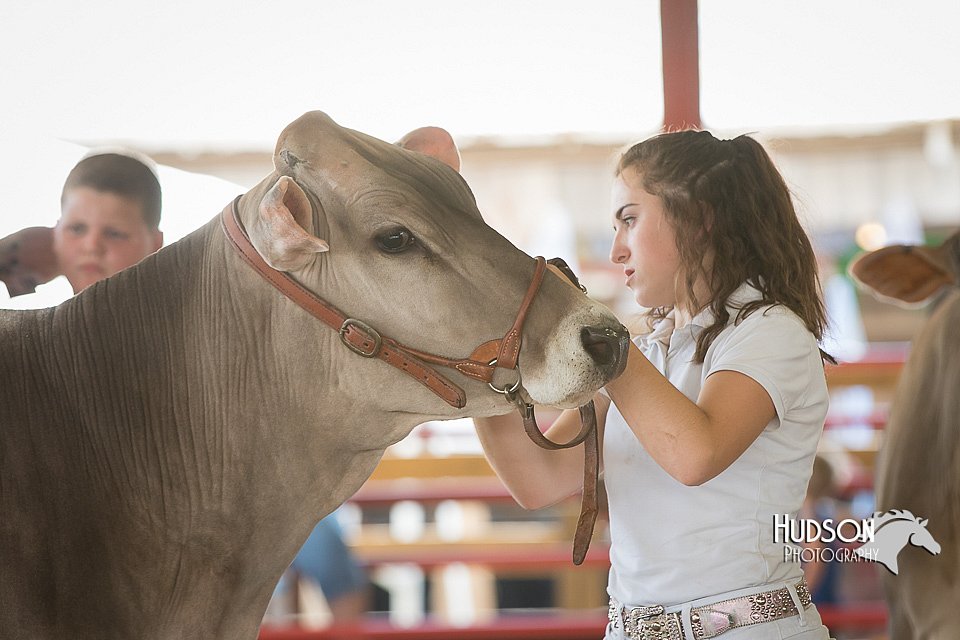 LCFAIR15-0864.jpg