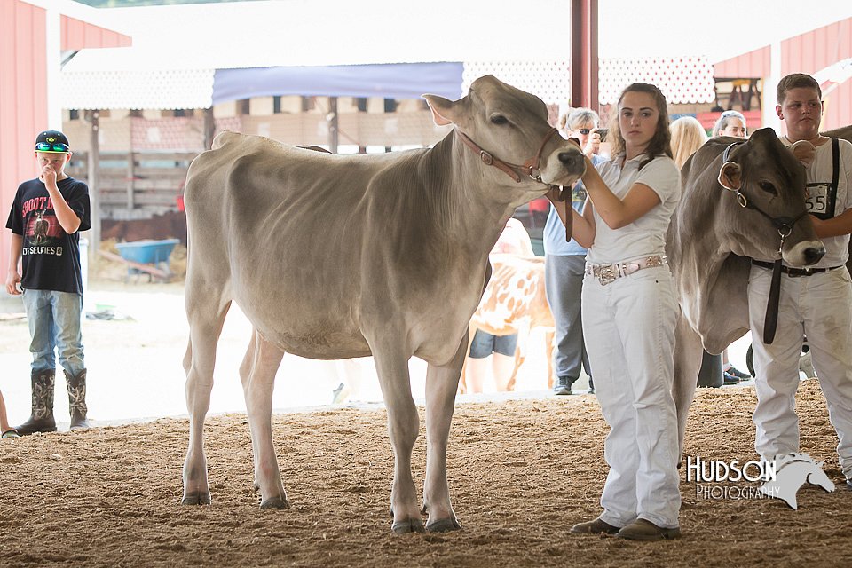LCFAIR15-0871.jpg
