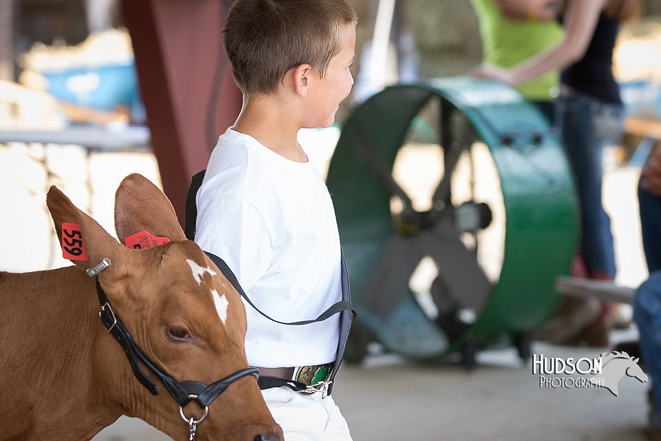 LCFAIR15-0883.jpg