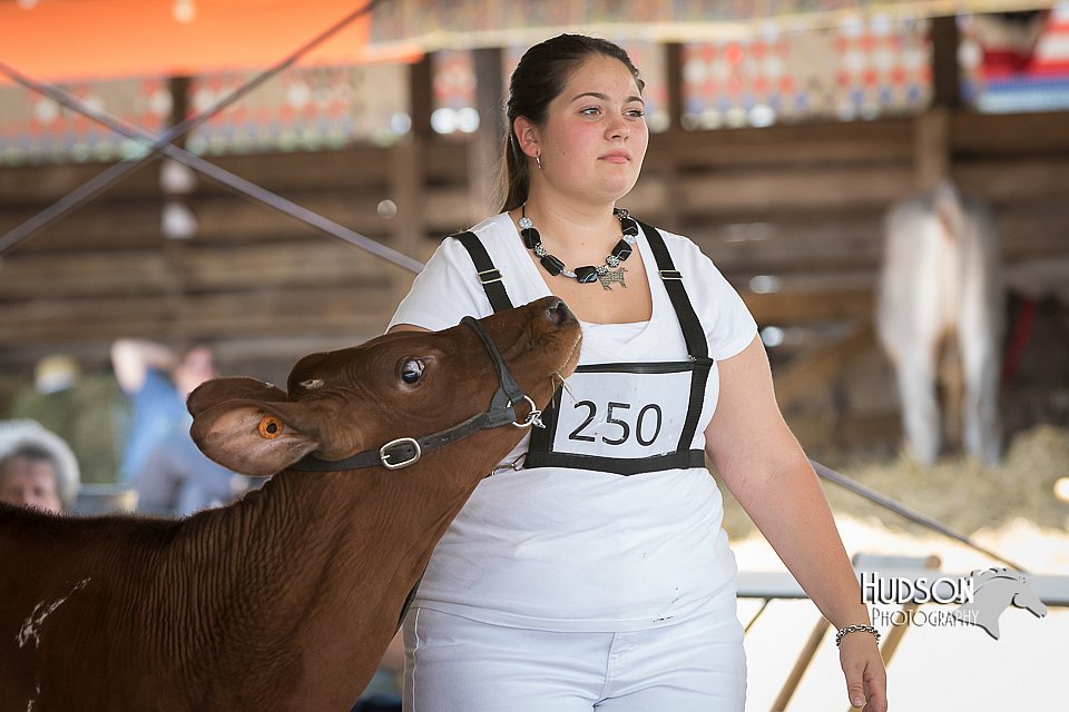 LCFAIR15-0884.jpg