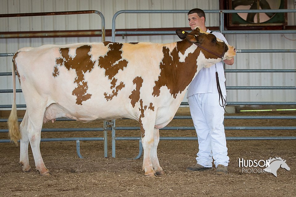 LCFAIR15-0897.jpg
