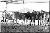 LCFAIR15-0500.jpg