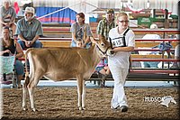LCFAIR15-0547.jpg