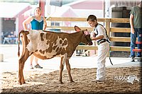 LCFAIR15-0548.jpg