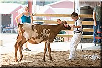 LCFAIR15-0549.jpg