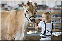 LCFAIR15-0550.jpg