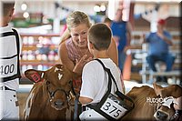 LCFAIR15-0553.jpg