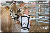LCFAIR15-0554.jpg
