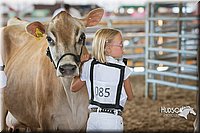 LCFAIR15-0555.jpg