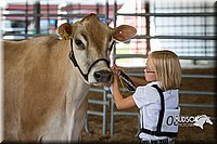 LCFAIR15-0557.jpg