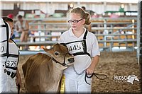 LCFAIR15-0558.jpg