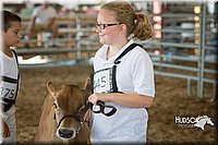 LCFAIR15-0560.jpg