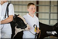 LCFAIR15-0570.jpg