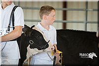 LCFAIR15-0571.jpg