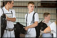 LCFAIR15-0572.jpg