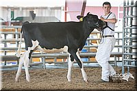 LCFAIR15-0573.jpg