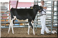 LCFAIR15-0574.jpg