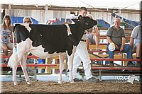 LCFAIR15-0575.jpg