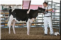 LCFAIR15-0579.jpg