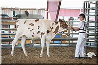 LCFAIR15-0582.jpg