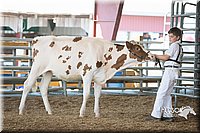 LCFAIR15-0583.jpg