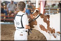 LCFAIR15-0586.jpg