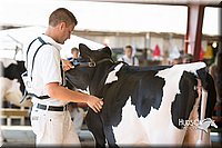 LCFAIR15-0587.jpg