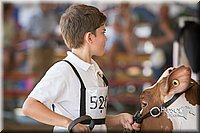 LCFAIR15-0588.jpg