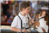 LCFAIR15-0589.jpg