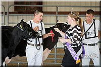 LCFAIR15-0591.jpg