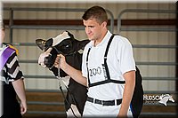 LCFAIR15-0593.jpg