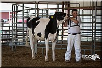 LCFAIR15-0596.jpg