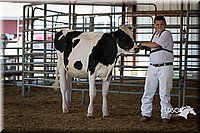 LCFAIR15-0597.jpg