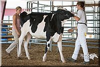 LCFAIR15-0600.jpg