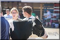 LCFAIR15-0603.jpg