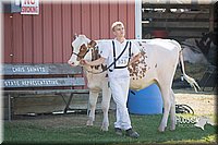 LCFAIR15-0605.jpg