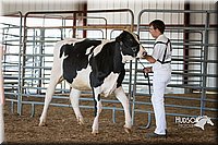 LCFAIR15-0608.jpg