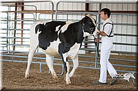 LCFAIR15-0609.jpg