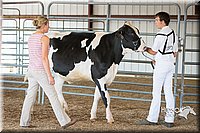 LCFAIR15-0610.jpg