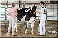 LCFAIR15-0611.jpg