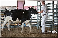 LCFAIR15-0613.jpg