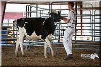 LCFAIR15-0614.jpg
