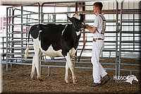 LCFAIR15-0615.jpg
