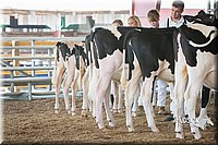 LCFAIR15-0617.jpg