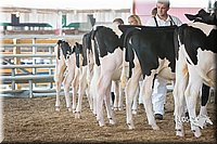 LCFAIR15-0618.jpg
