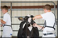 LCFAIR15-0620.jpg