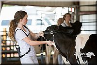 LCFAIR15-0621.jpg