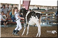 LCFAIR15-0623.jpg
