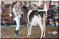 LCFAIR15-0627.jpg