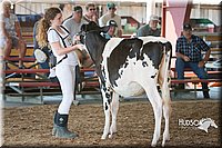 LCFAIR15-0628.jpg